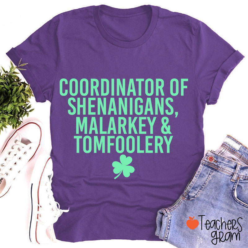 Coordinator Of Shenanigans Teacher T-Shirt