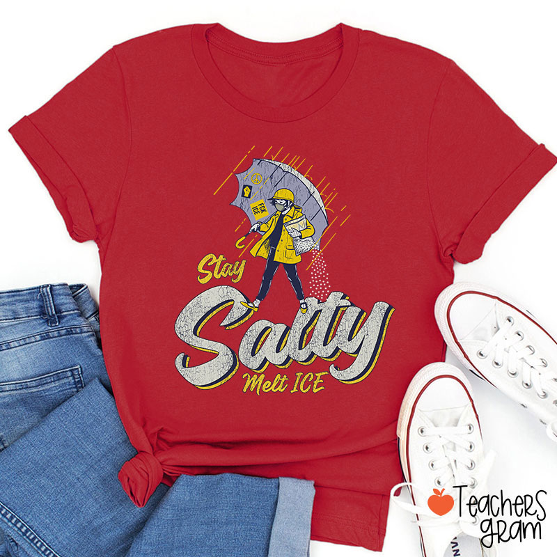 Stay Salty Melt Ice Social Justice Teacher T-Shirt