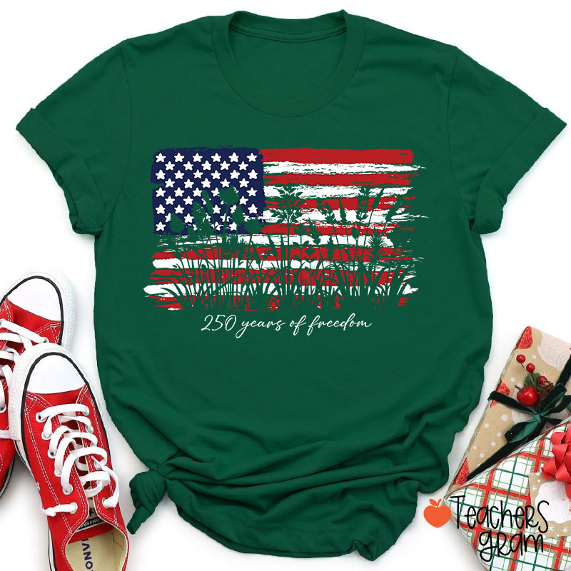 Land Of The Free Home Of The Brave Teacher T-Shirt