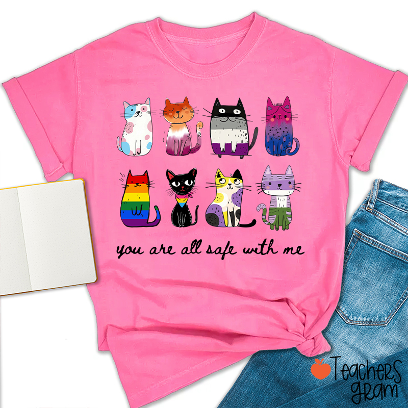 Rainbow Color Cats You Are All Safe With Me Teacher T-Shirt