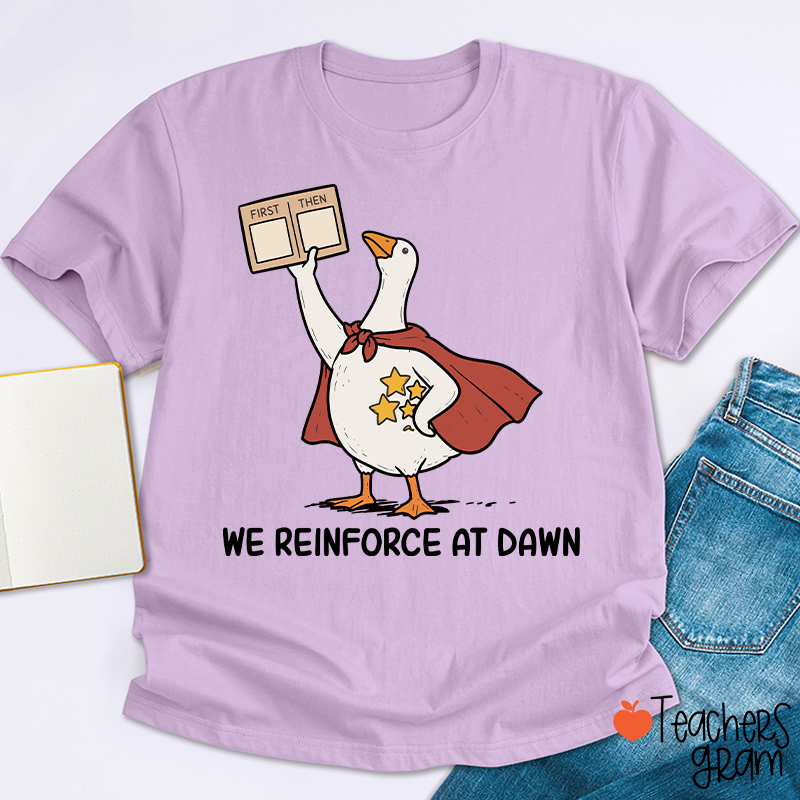 We Reinforce At Dawn Silly Goose Cape Star Chart Teacher T-Shirt