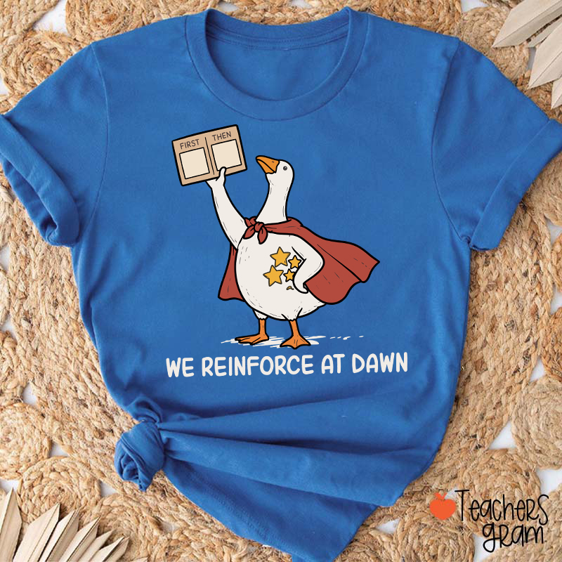 We Reinforce At Dawn Silly Goose Cape Star Chart Teacher T-Shirt