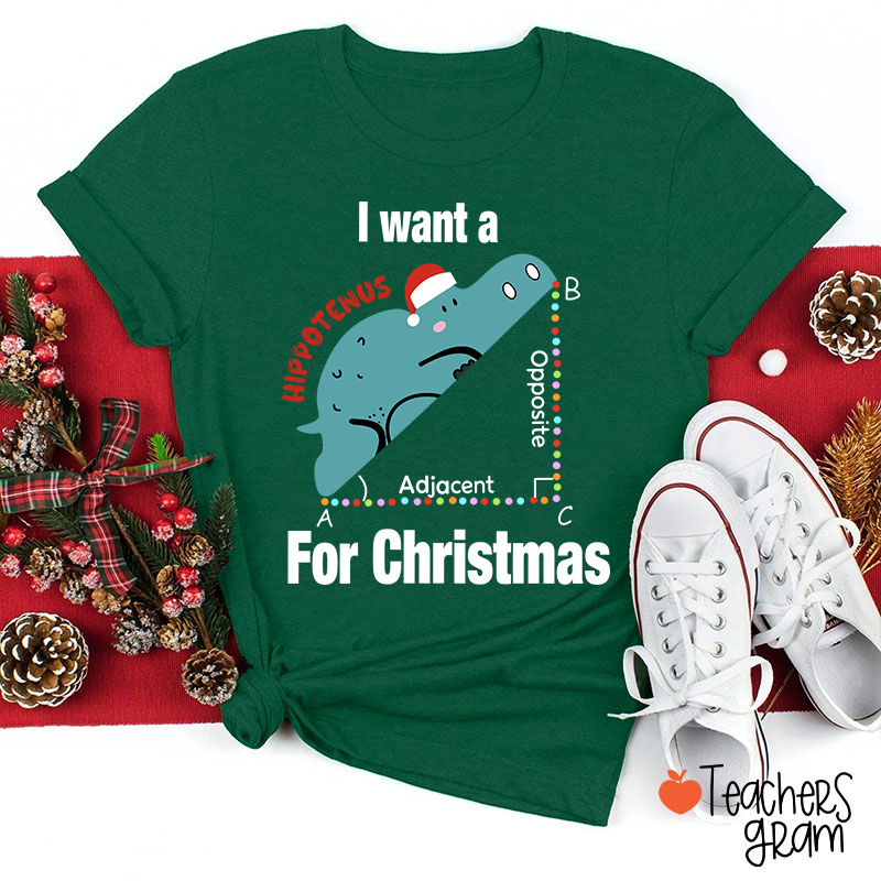I Want A Hippotenus For Christmas Teacher T-Shirt