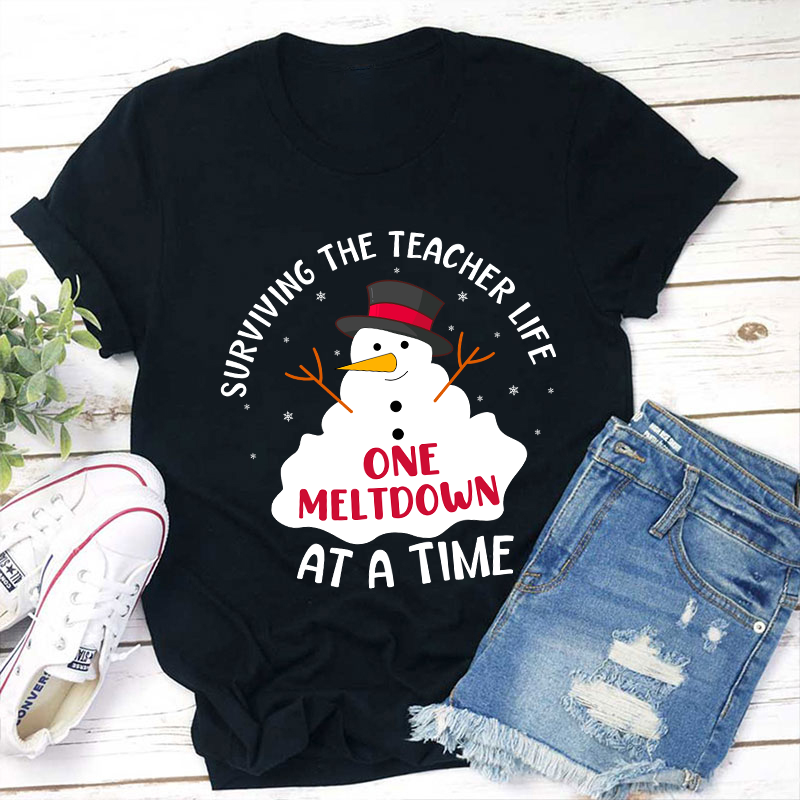 Surviving The Teacher At A Time Teacher T-Shirt