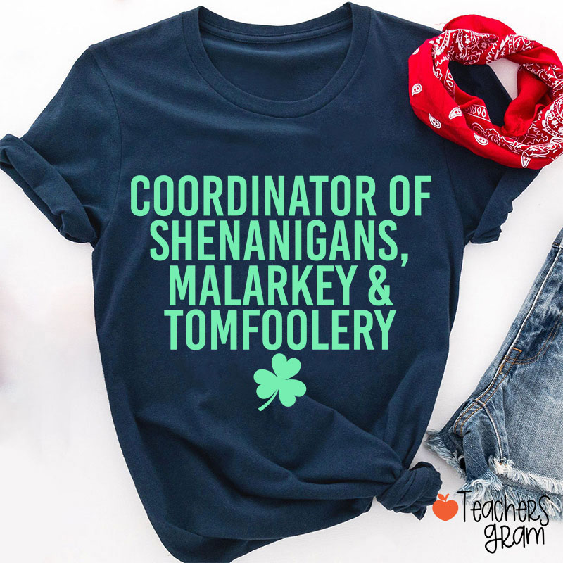 Coordinator Of Shenanigans Teacher T-Shirt