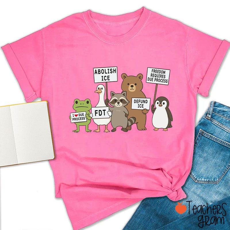 Abolish Ice Goose Comfort Colors Teacher T-Shirt