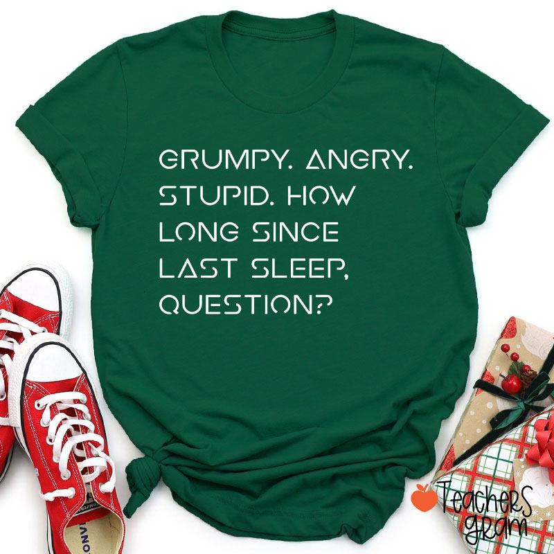 Grumpy Angry Stupid Teacher T-Shirt