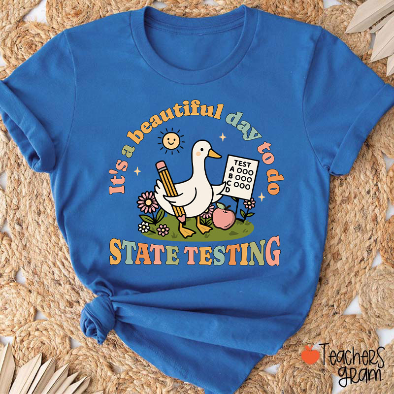 It's A Beautiful Day To Do State Testing Teacher T-Shirt
