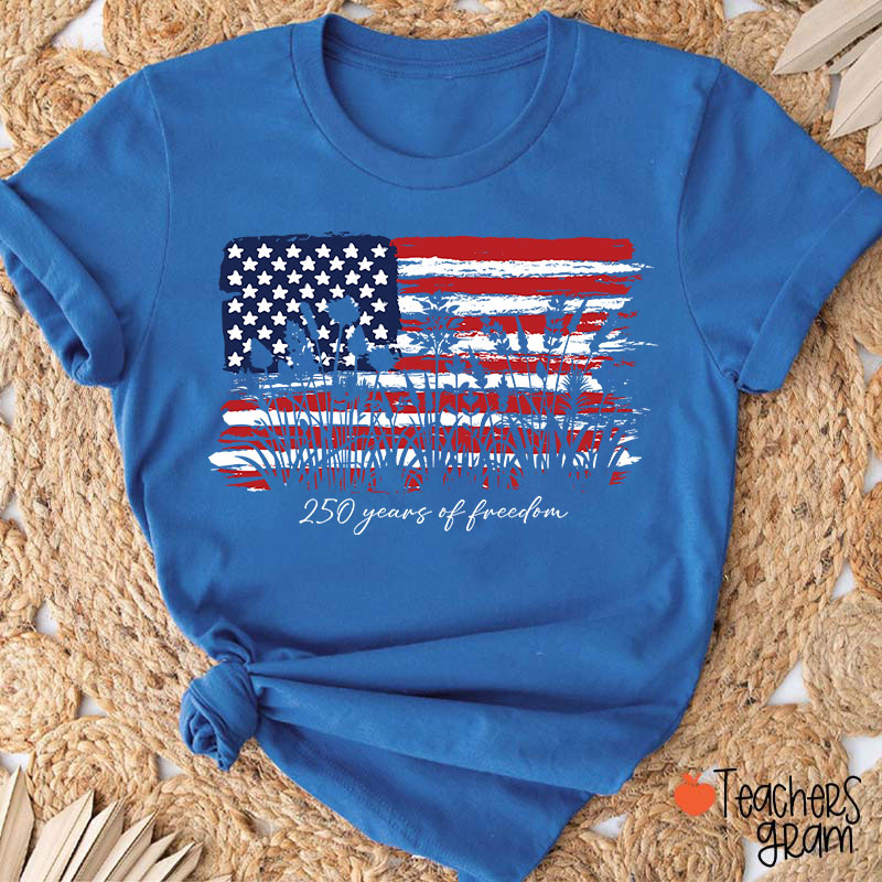 Land Of The Free Home Of The Brave Teacher T-Shirt
