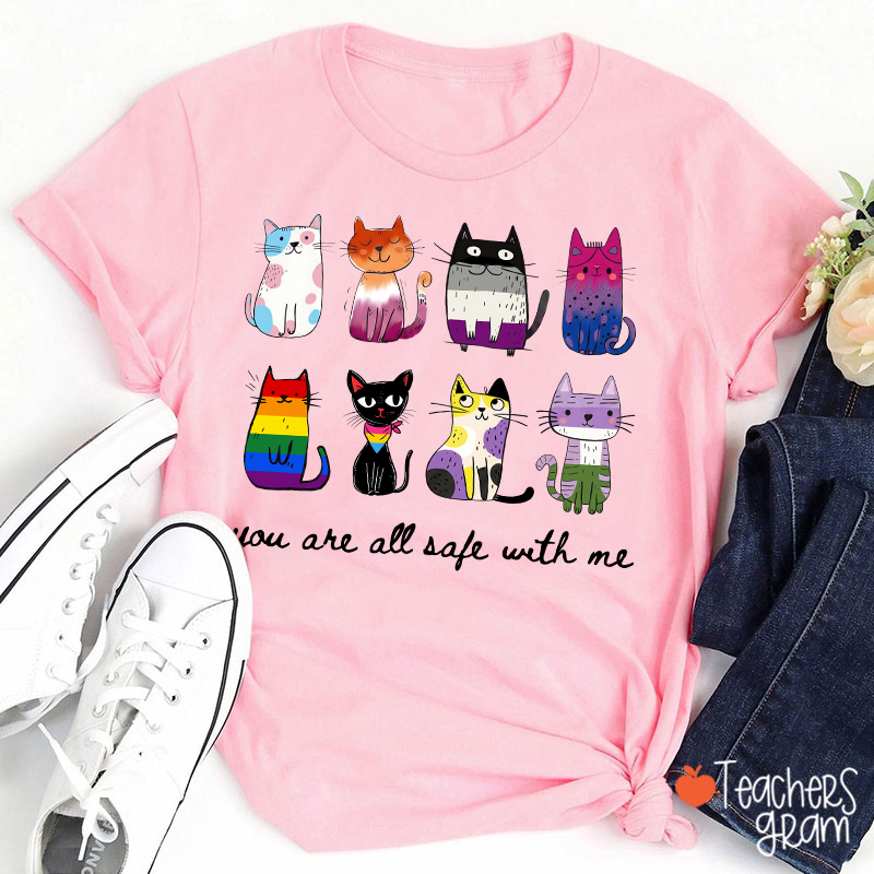 Rainbow Color Cats You Are All Safe With Me Teacher T-Shirt