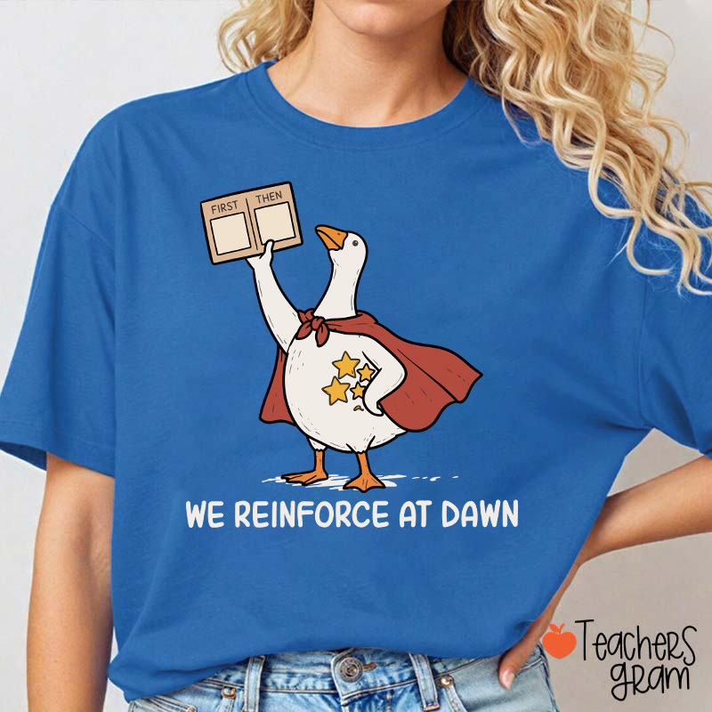 We Reinforce At Dawn Silly Goose Cape Star Chart Teacher T-Shirt