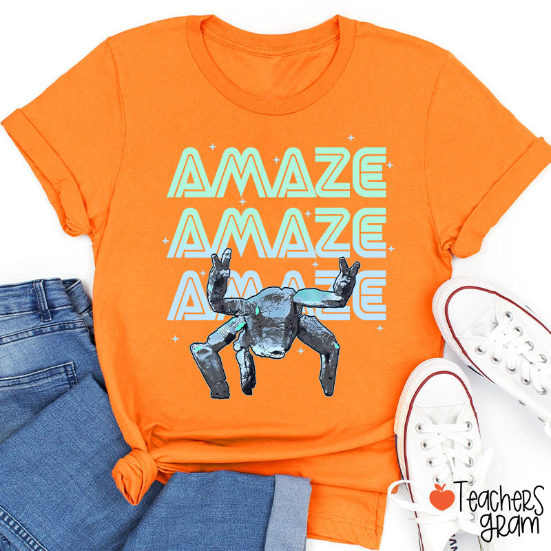 Hail Mary Amazing Teacher T-Shirt