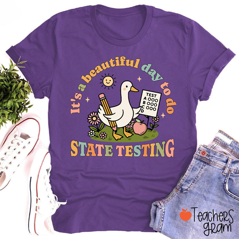 It's A Beautiful Day To Do State Testing Teacher T-Shirt