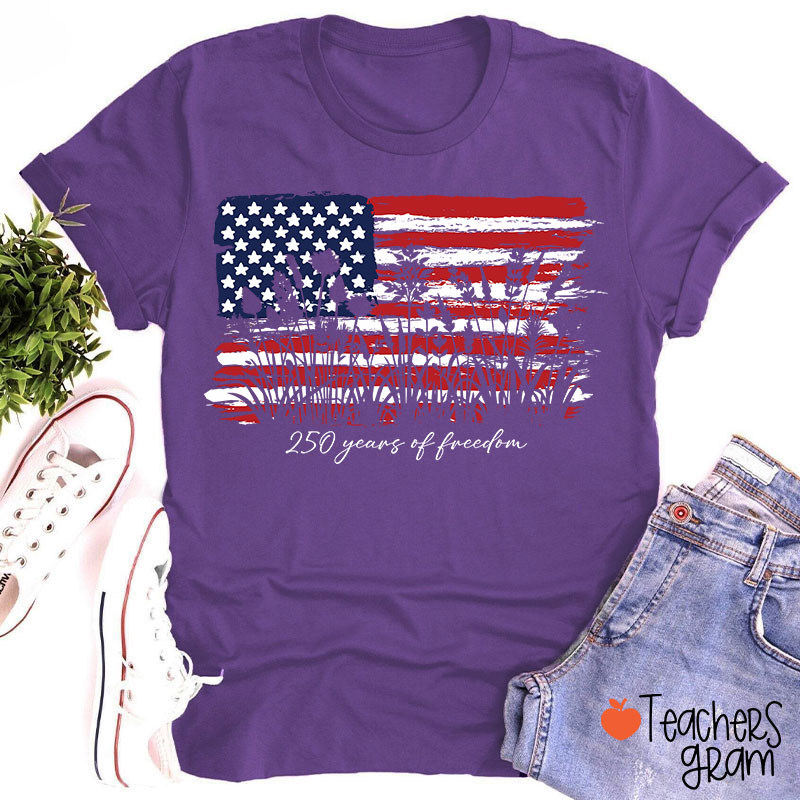 Land Of The Free Home Of The Brave Teacher T-Shirt