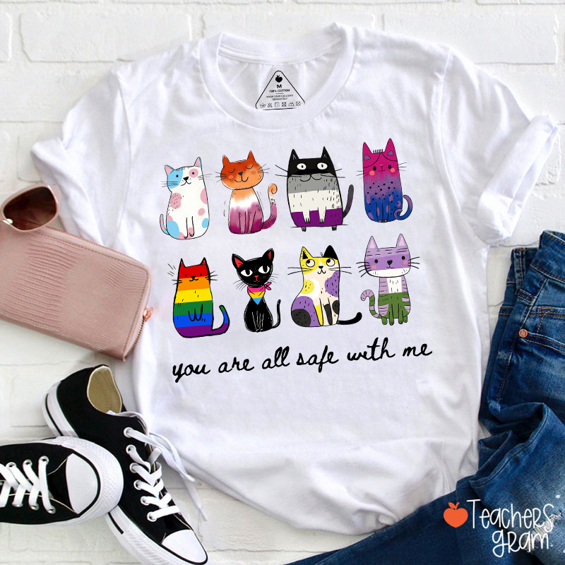 Rainbow Color Cats You Are All Safe With Me Teacher T-Shirt