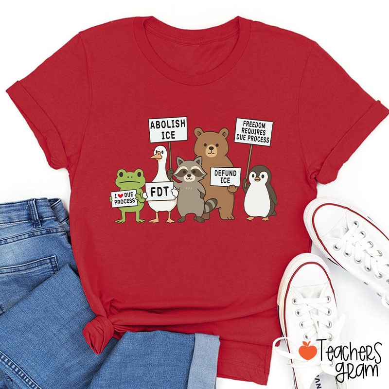 Abolish Ice Goose Comfort Colors Teacher T-Shirt