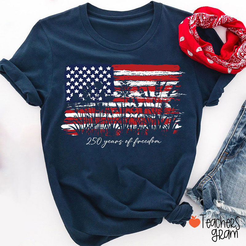 Land Of The Free Home Of The Brave Teacher T-Shirt