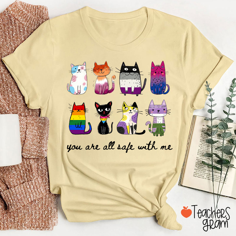 Rainbow Color Cats You Are All Safe With Me Teacher T-Shirt
