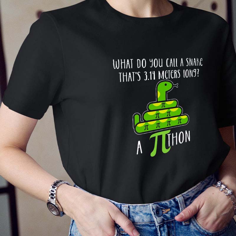 What Do You Call A Snake Teacher T-Shirt