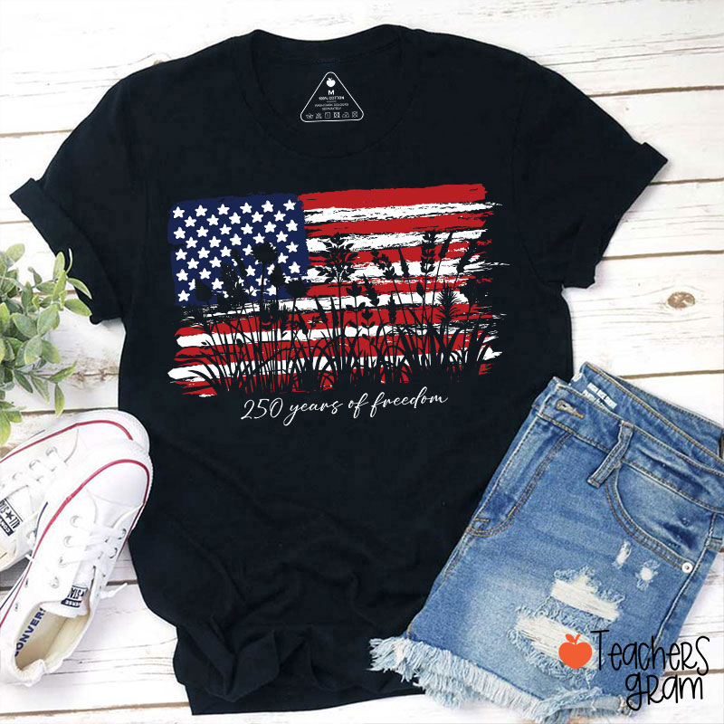 Land Of The Free Home Of The Brave Teacher T-Shirt