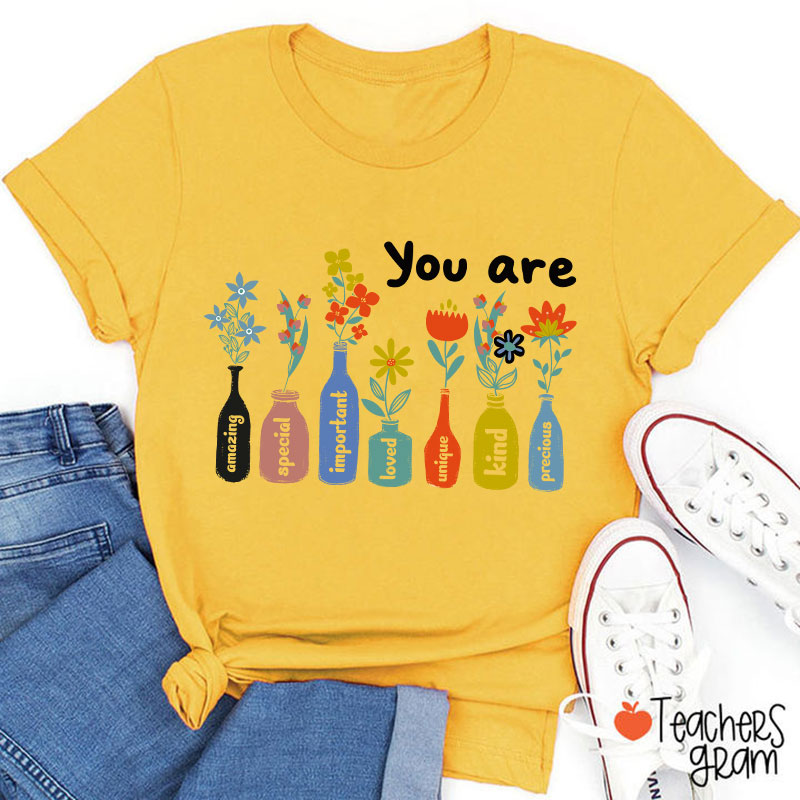 You Are Important Motivational Teacher T-Shirt