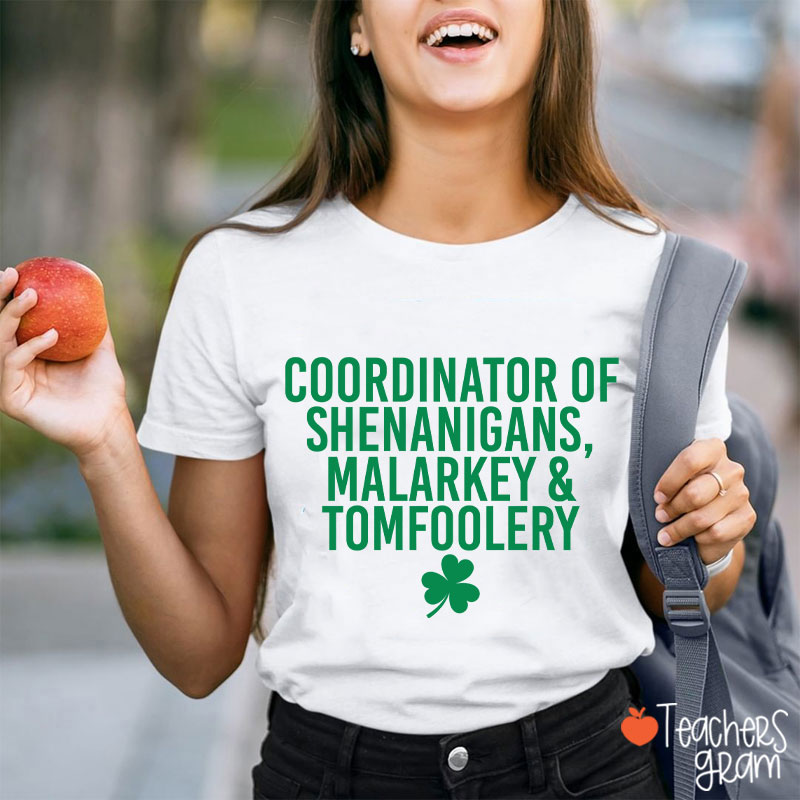Coordinator Of Shenanigans Teacher T-Shirt