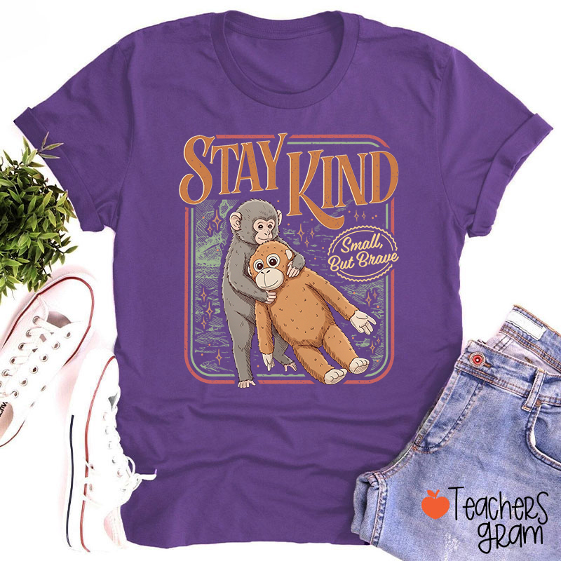 Stay Kind Small But Brave Teacher T-Shirt