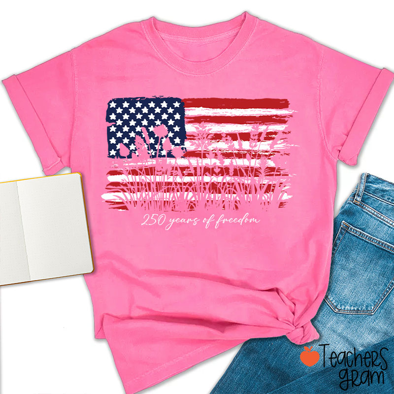Land Of The Free Home Of The Brave Teacher T-Shirt
