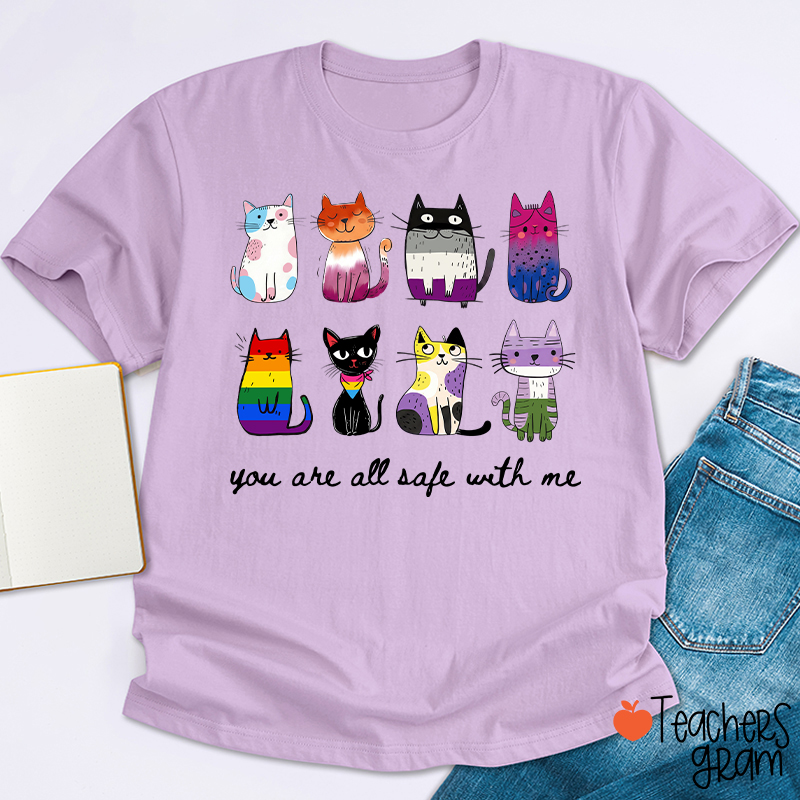 Rainbow Color Cats You Are All Safe With Me Teacher T-Shirt