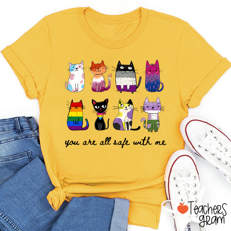 Rainbow Color Cats You Are All Safe With Me Teacher T-Shirt