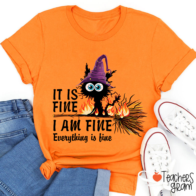 It Is Fine I Am Fine Everything Is Fine Halloween Broom Cat Teacher T-Shirt