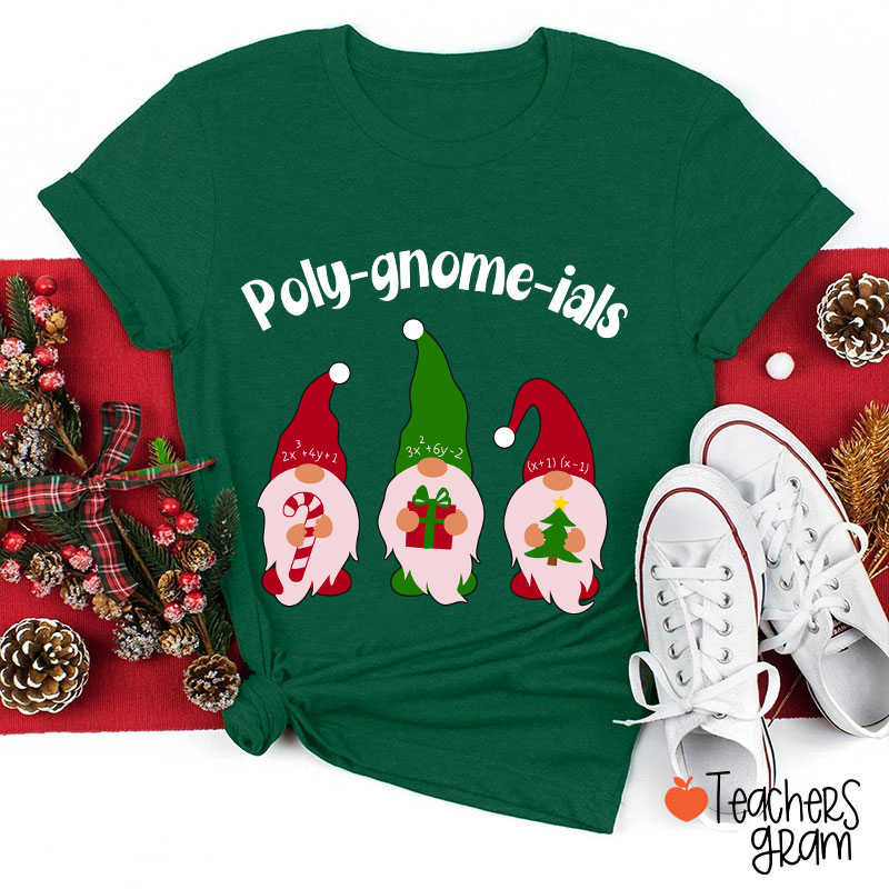 Poly Gnome Ials Math Teacher T-Shirt