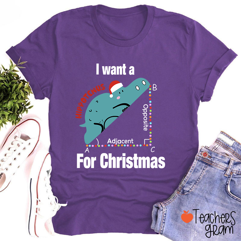 I Want A Hippotenus For Christmas Teacher T-Shirt