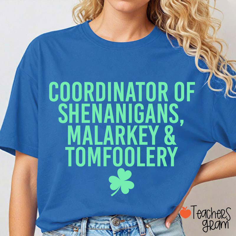 Coordinator Of Shenanigans Teacher T-Shirt