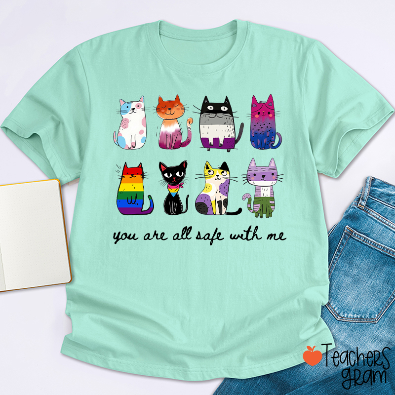 Rainbow Color Cats You Are All Safe With Me Teacher T-Shirt