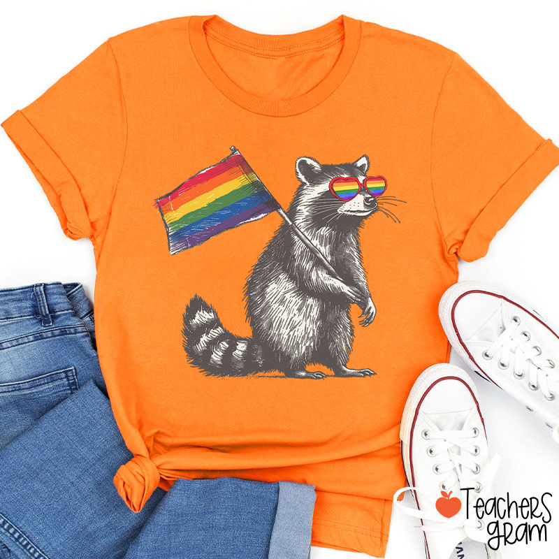 Funny Raccoon Rainbow Flag Pride Teacher T-Shirt