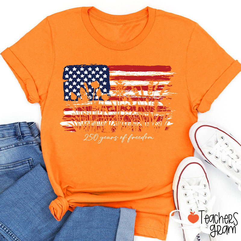 Land Of The Free Home Of The Brave Teacher T-Shirt