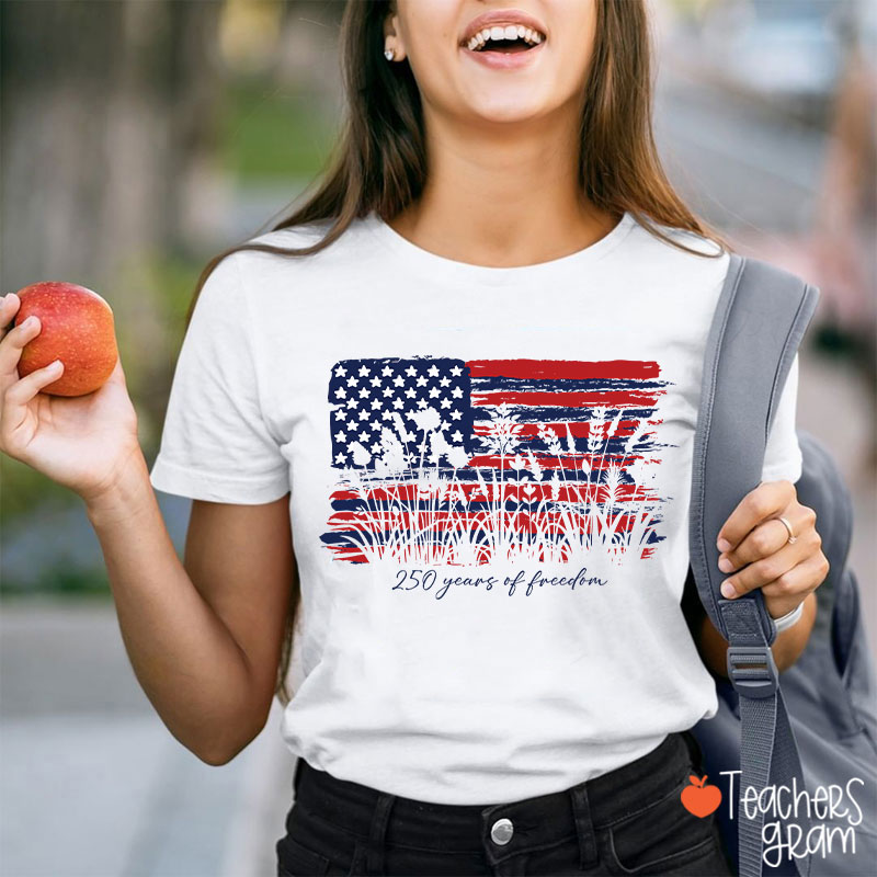 Land Of The Free Home Of The Brave Teacher T-Shirt