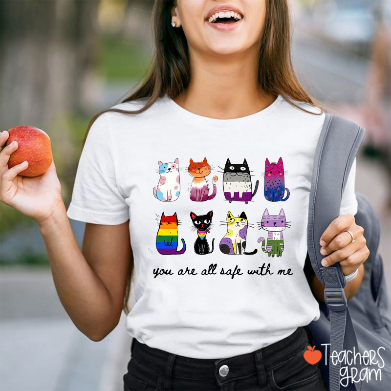Rainbow Color Cats You Are All Safe With Me Teacher T-Shirt