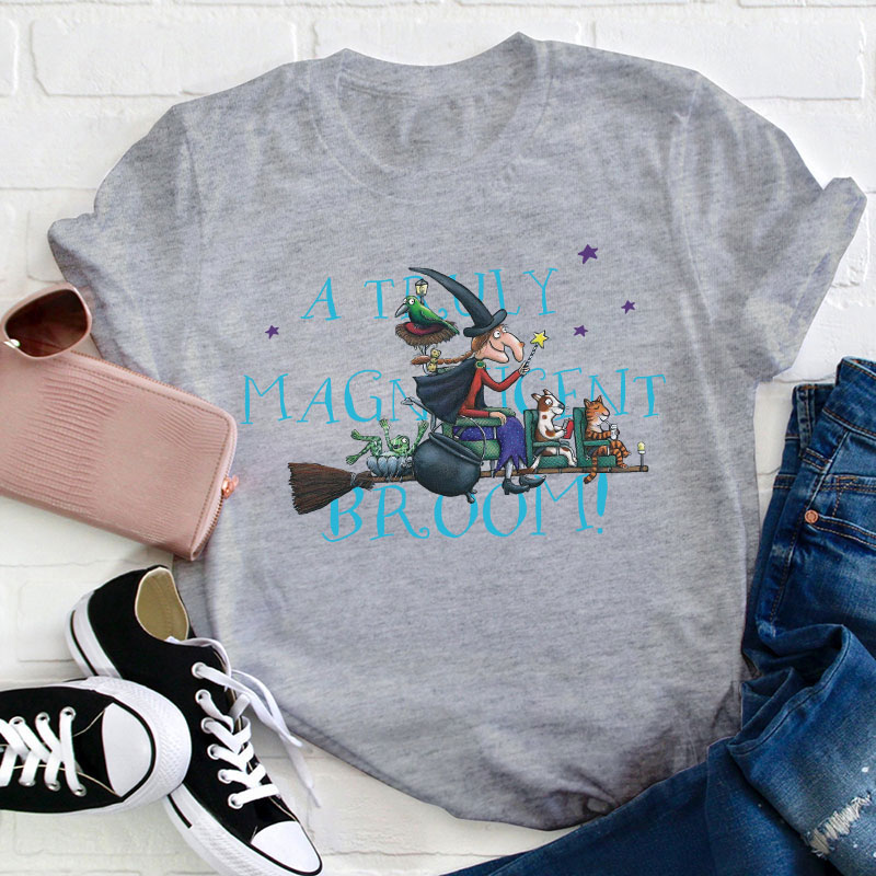 Room On The Broom Witch Teacher T-Shirt