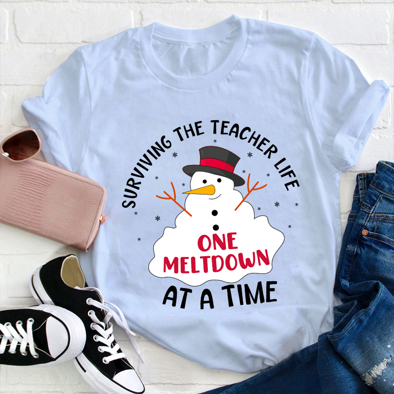 Surviving The Teacher At A Time Teacher T-Shirt