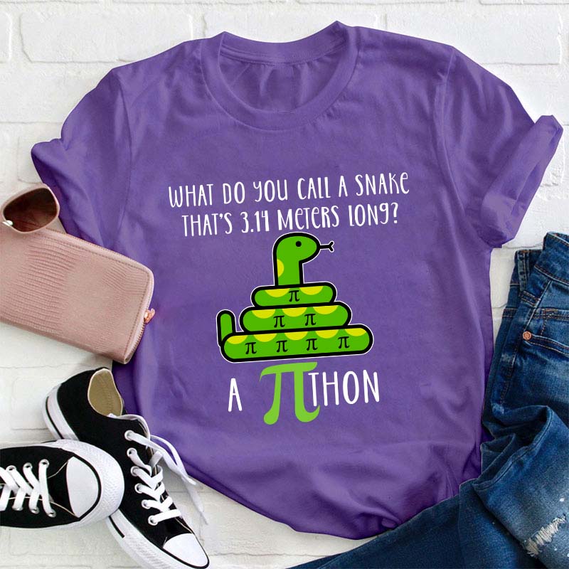 What Do You Call A Snake Teacher T-Shirt