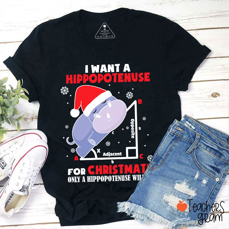 I Want A Hippopotenuse For Christmas Teacher T-Shirt