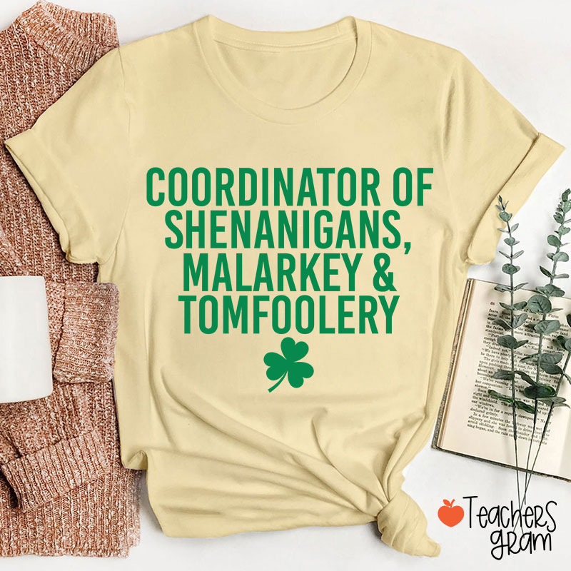 Coordinator Of Shenanigans Teacher T-Shirt