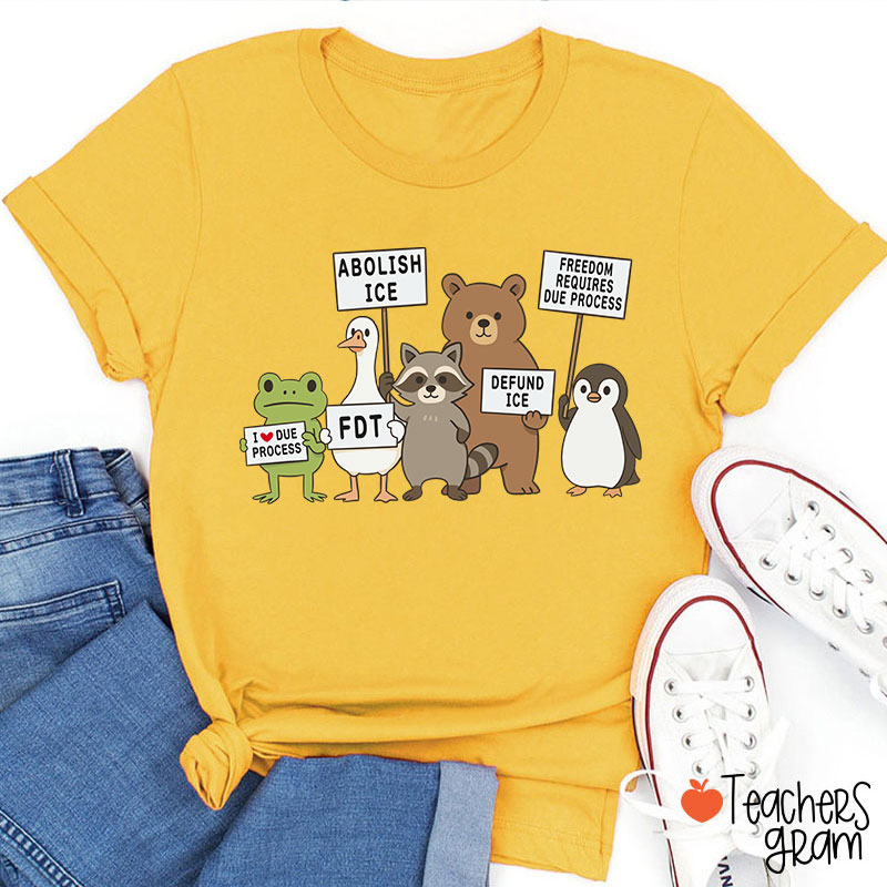 Abolish Ice Goose Comfort Colors Teacher T-Shirt