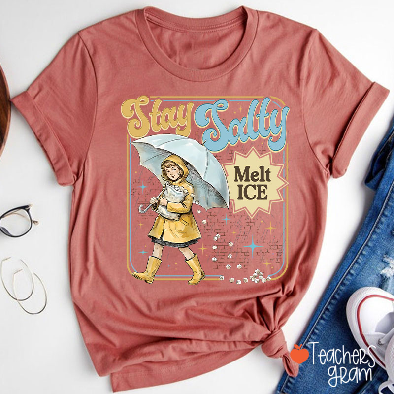 Stay Salty Melt Ice Subtle Anti Ice Teacher T-Shirt