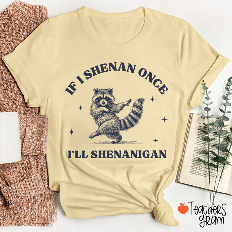If I Shenan Once I'll Shenanigan Raccoon Teacher T-Shirt