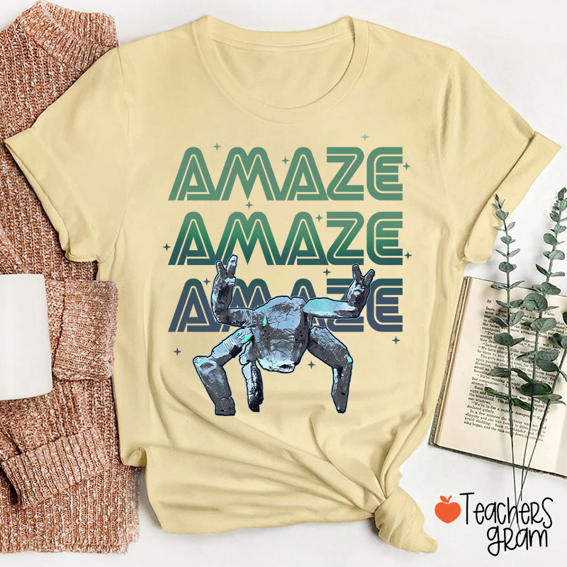 Hail Mary Amazing Teacher T-Shirt