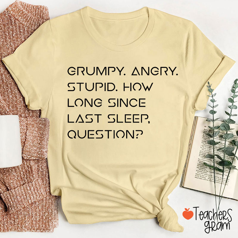 Grumpy Angry Stupid Teacher T-Shirt