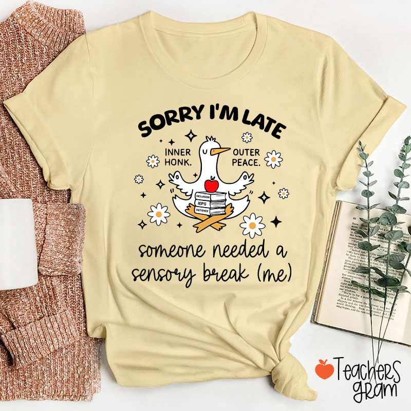 Sorry I'm Late Someone Needed A Sensory Break Teacher T-Shirt